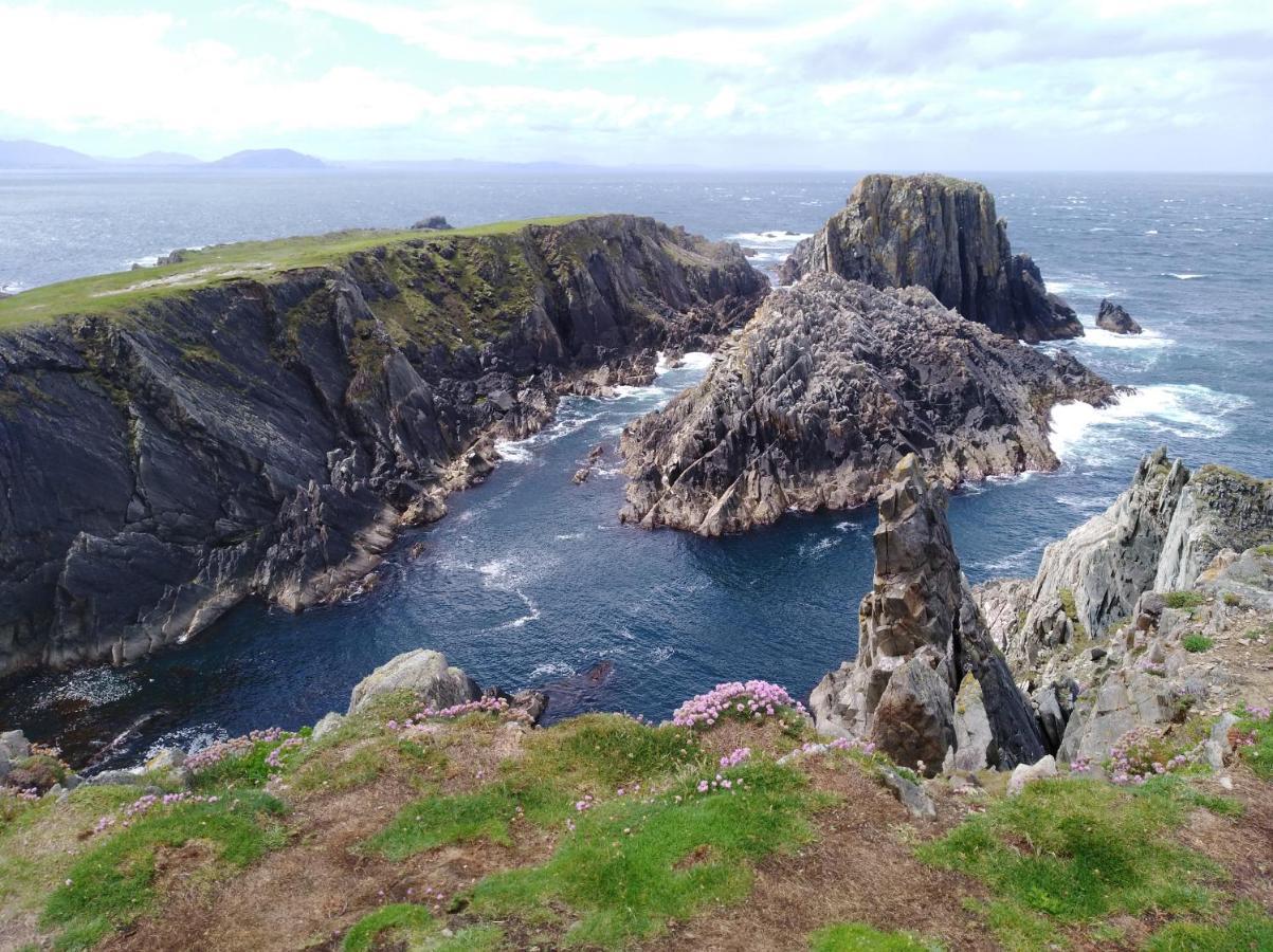 Madra Rua Organic Accommodation Ballyliffin Exteriér fotografie
