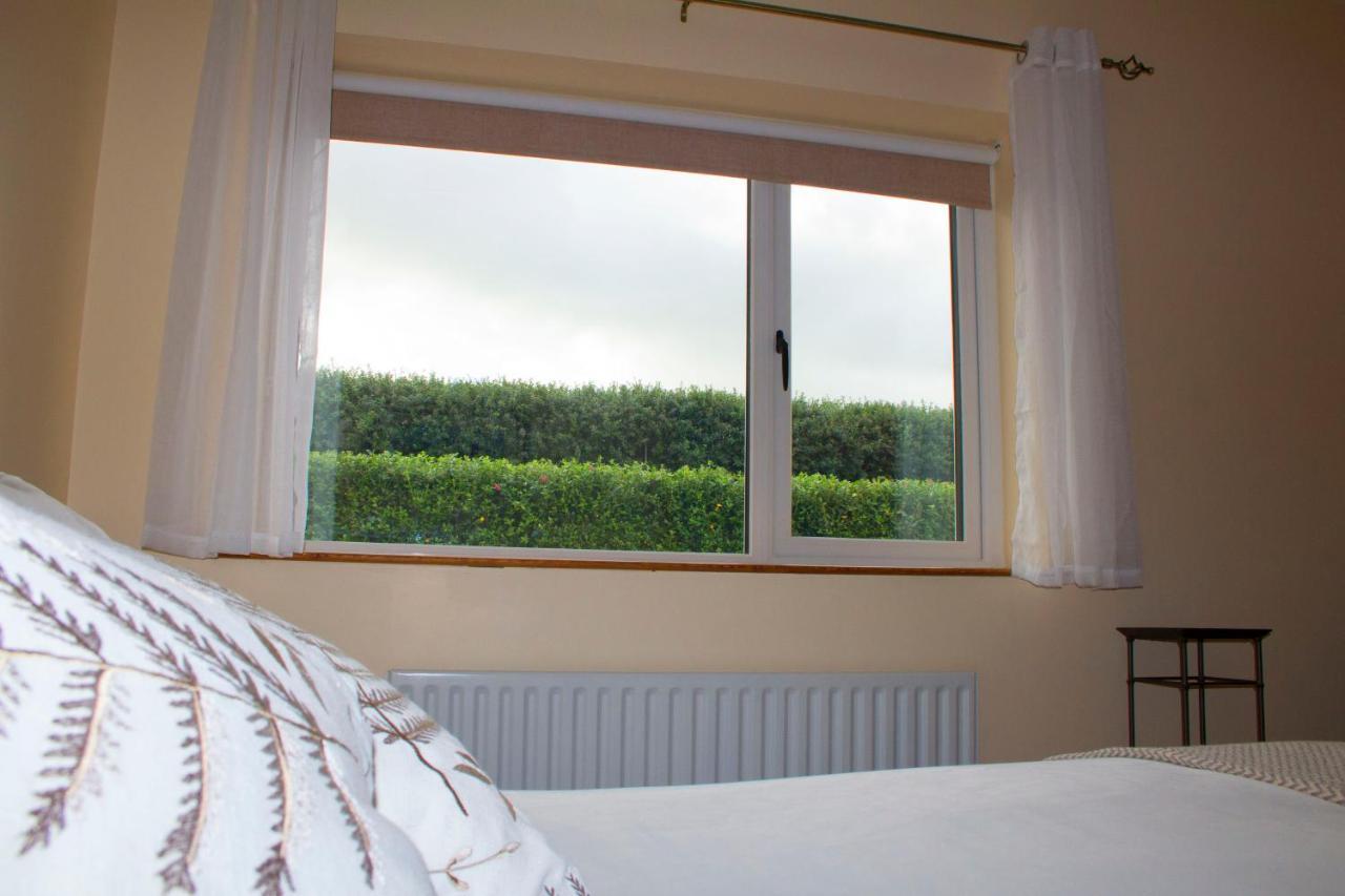 Madra Rua Organic Accommodation Ballyliffin Exteriér fotografie